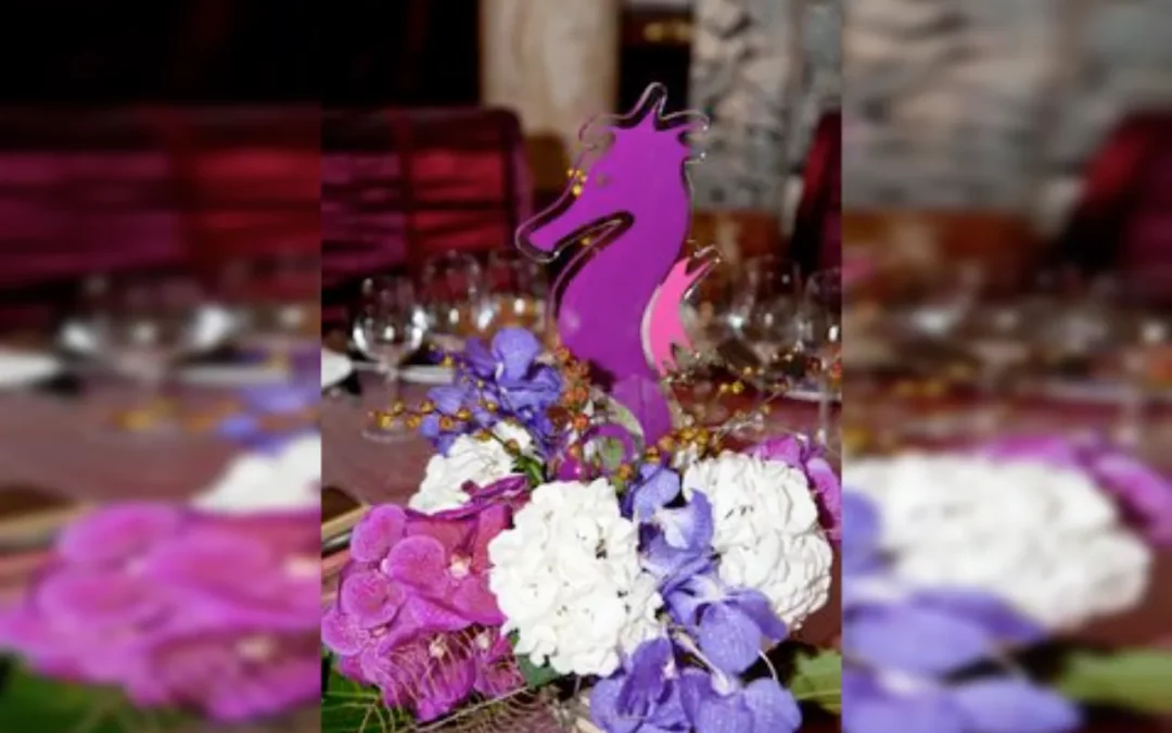 Soirée de soutien Monaco 2012