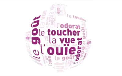 Les 5 sens : fenêtres ouvertes sur notre cerveau