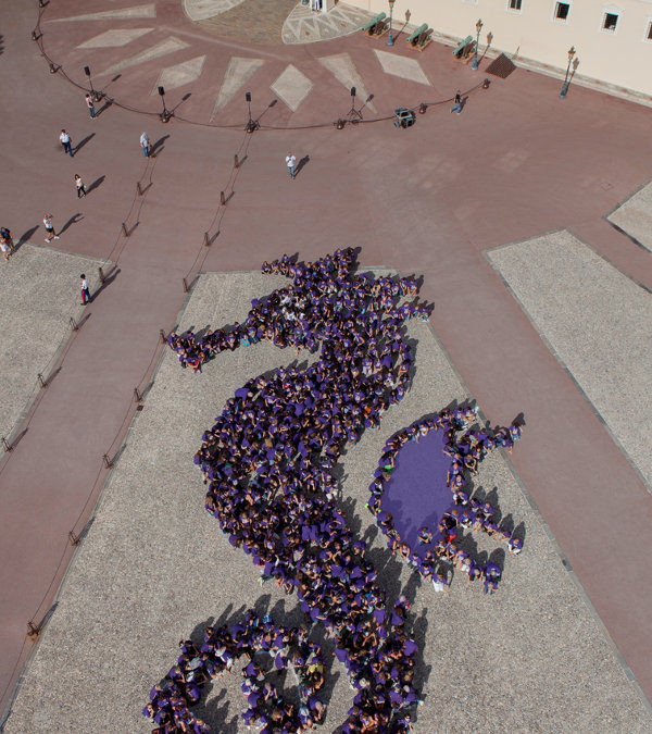 Journée Mondiale Alzheimer 2013